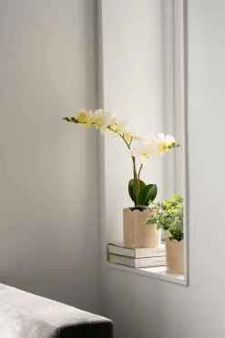 Kremmerhuset Blomsterpotte Scallop, beige| Blomsterpotter Og Pidestaller