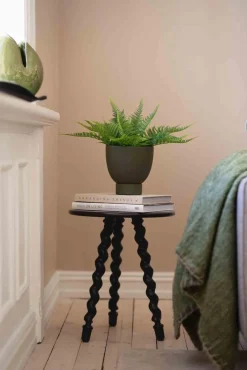 Kremmerhuset Bregne i potte| Grønne Planter