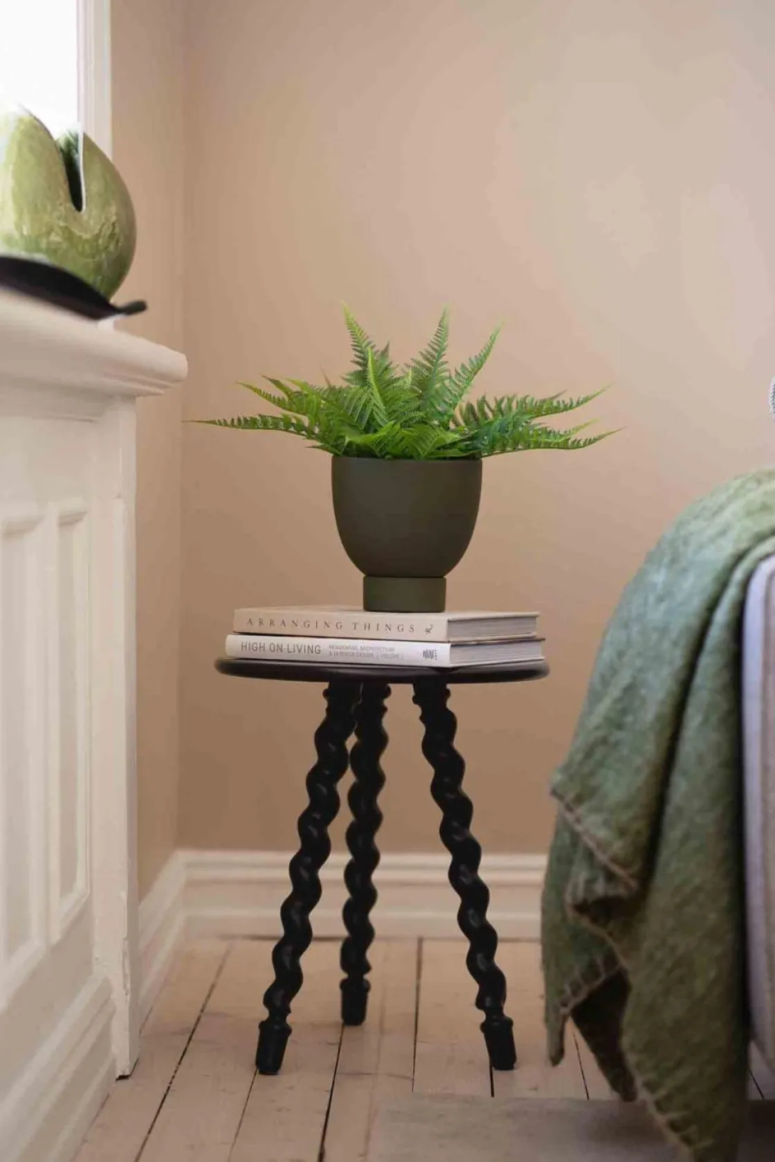 Kremmerhuset Bregne i potte| Grønne Planter