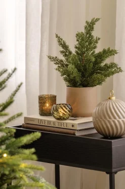 Kremmerhuset Furu i potte 39cm| Grønne Planter|Juletrær Og Julegrønt