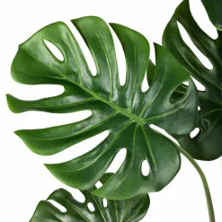 Kremmerhuset Monstera i potte 109 cm| Grønne Planter