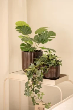 Kremmerhuset Monstera i potte 42cm| Grønne Planter