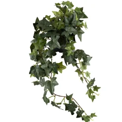 Kremmerhuset Plante Eføy| Grønne Planter