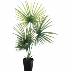 Kremmerhuset Plante Kwai palme 130 cm| Grønne Planter
