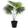 Kremmerhuset Plante Livistona 42cm| Grønne Planter