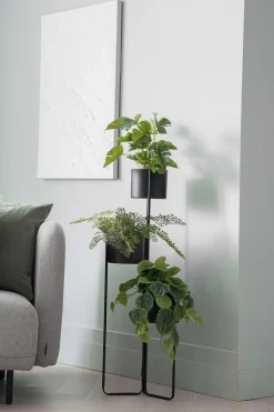 Kremmerhuset Plante Monstera| Grønne Planter