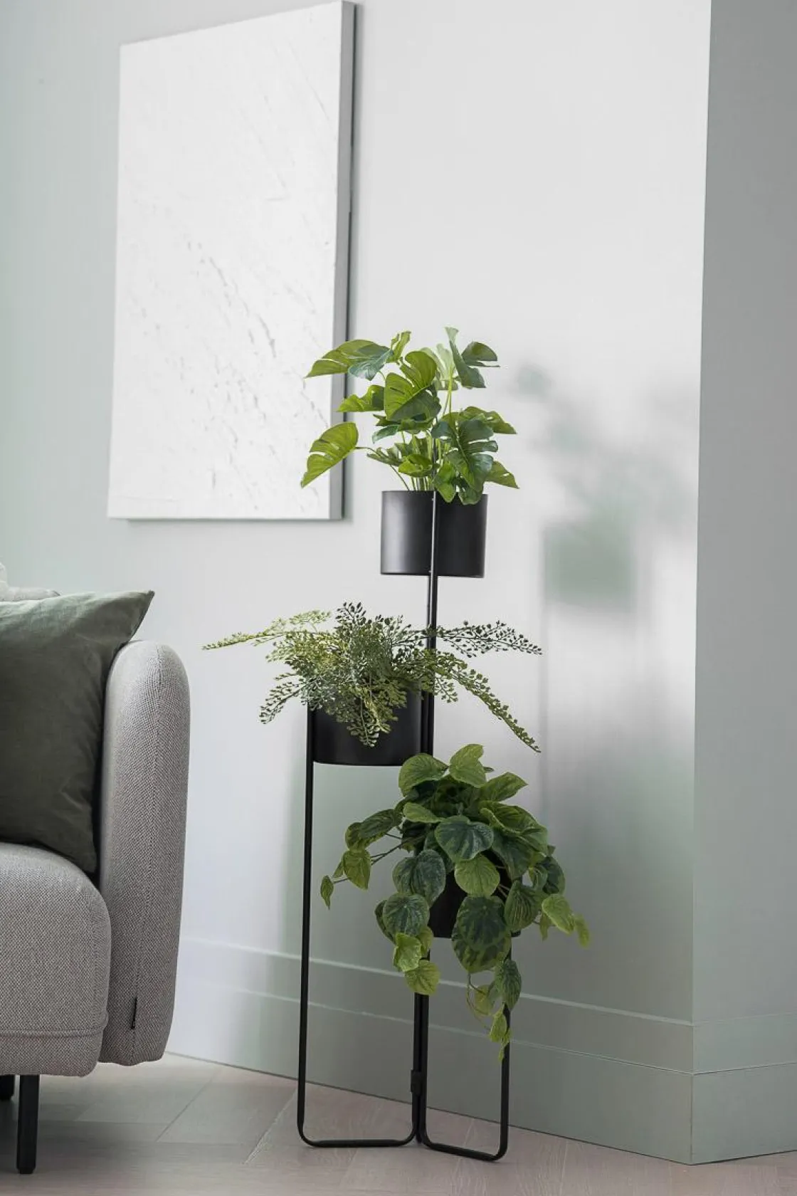 Kremmerhuset Plante Monstera| Grønne Planter