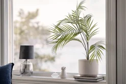 Kremmerhuset Plante Palme liten| Grønne Planter