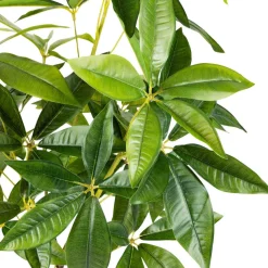 Kremmerhuset Plante Tre 115 cm| Grønne Planter