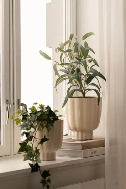 Kremmerhuset Potte Suri 22 cm| Blomsterpotter Og Pidestaller