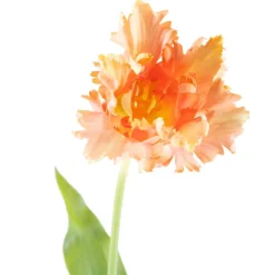 Kremmerhuset Tulipan| Kunstige Blomster